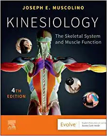Kinesiology: The Skeletal System and Muscle Function, 4th edition
