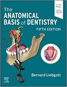 The Anatomical Basis of Dentistry, 5th edition