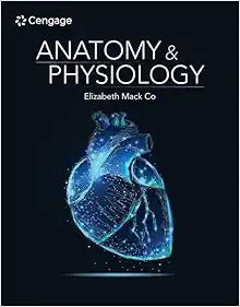 Anatomy & Physiology (Elizabeth Co)