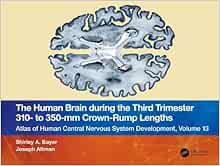 The Human Brain during the Third Trimester 310– to 350–mm Crown-Rump Lengths: Atlas of Central Nervous System Development, Volume 13 (Atlas of Central Nervous System Development, 13)