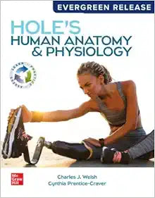 Hole’s Anatomy and Physiology (2024 Release)