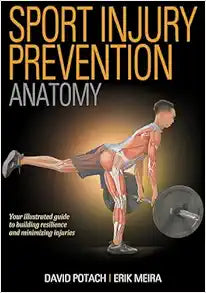 Sport Injury Prevention Anatomy