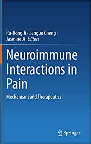 Neuroimmune Interactions in Pain: Mechanisms and Therapeutics