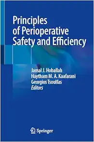 Principles of Perioperative Safety and Efficiency
