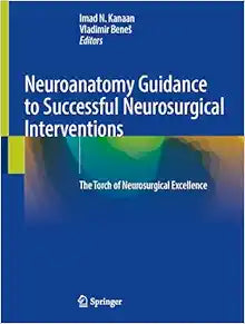 Neuroanatomy Guidance to Successful Neurosurgical Interventions: The Torch of Neurosurgical Excellence