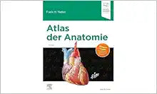 Atlas der Anatomie: Deutsche Übersetzung von Christian M. Hammer – Mit StudentConsult-Zugang (VORKLINIK – Lehrbuch – Urban & Fischer-Verlag), 7th Edition