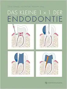 Das kleine 1×1 der Endodontie