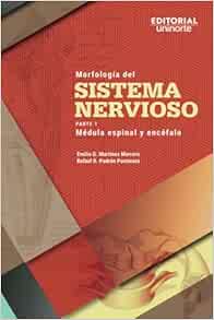 Morfología del sistema nervioso: Parte 1: médula espinal y encéfalo (Spanish Edition)