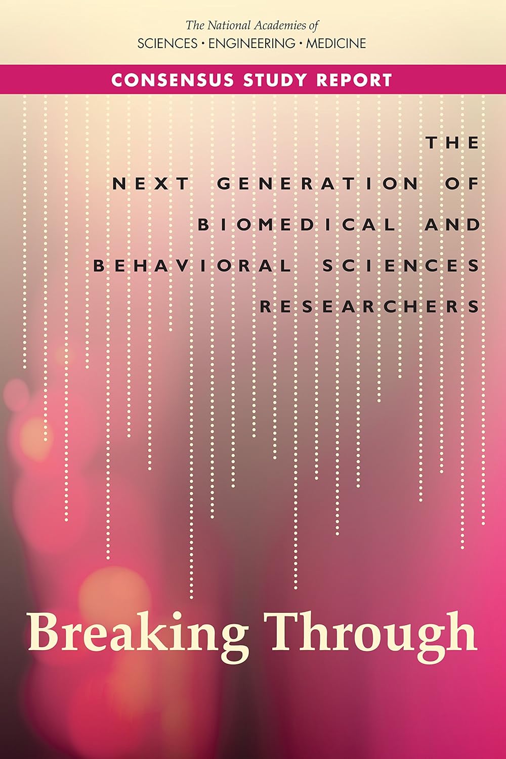 The Next Generation of Biomedical and Behavioral Sciences Researchers: Breaking Through