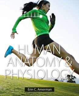 Human Anatomy & Physiology (Erin C. Amerman)