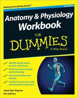 Anatomy and Physiology Workbook For Dummies, 2nd Edition