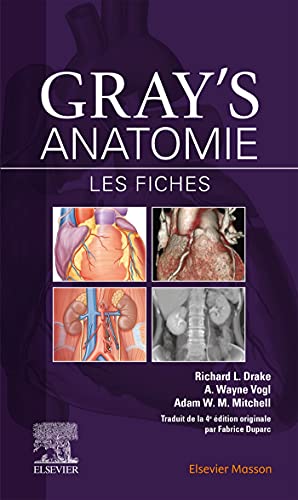 Gray’s Anatomie – Les fiches