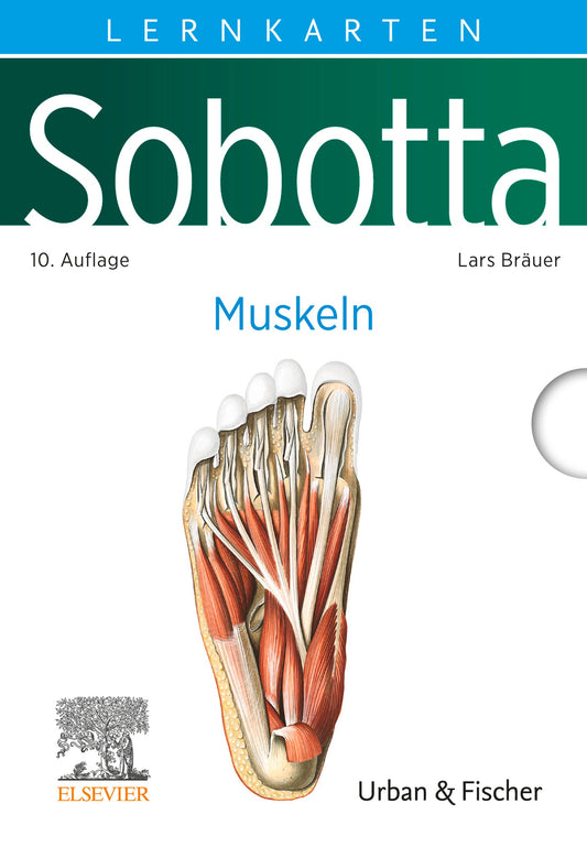 Sobotta Lernkarten Muskeln, 10th Edition