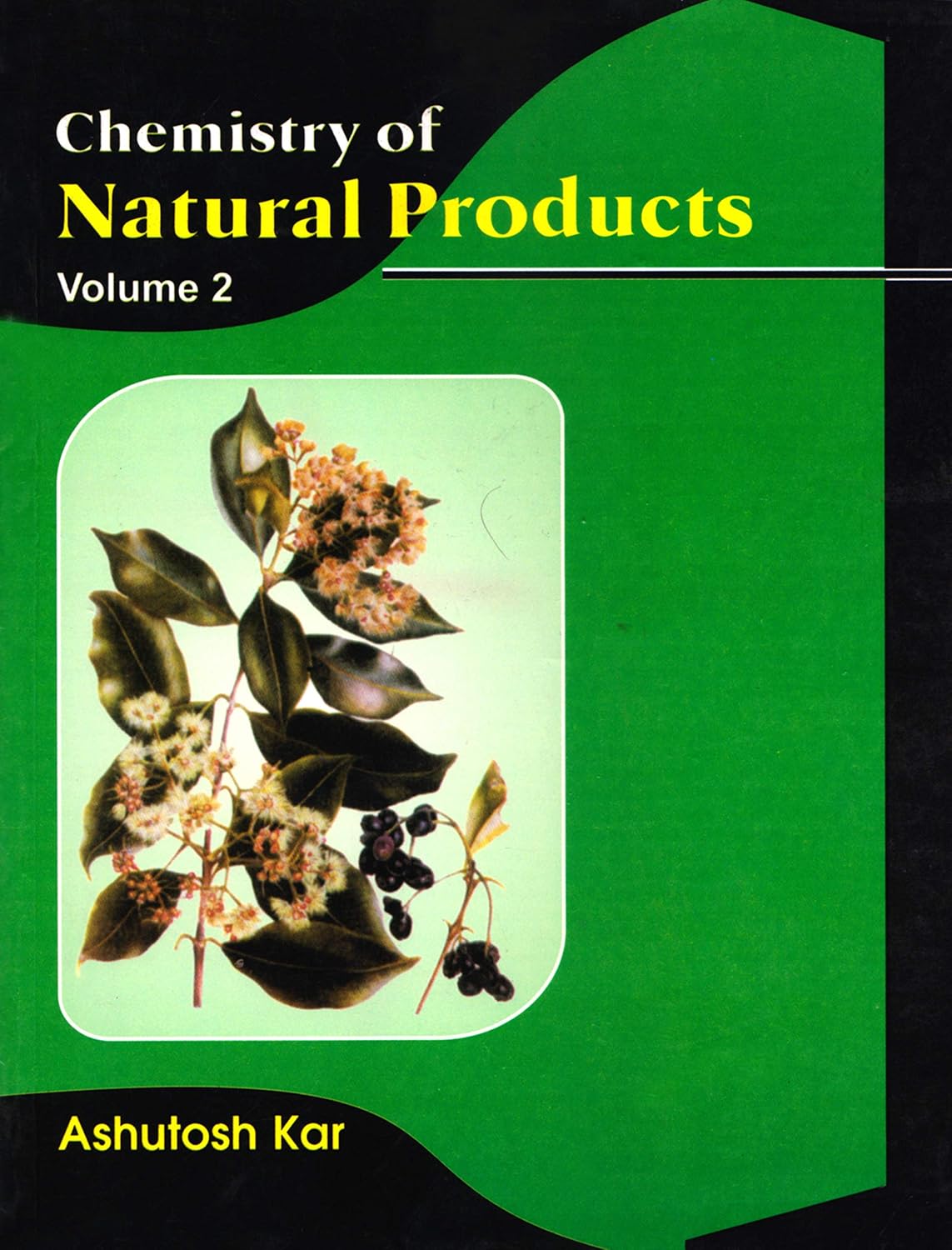 Chemistry of Natural Products, Vol. II: Volume 2