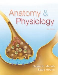 Anatomy & Physiology (Marieb) (5th Edition)