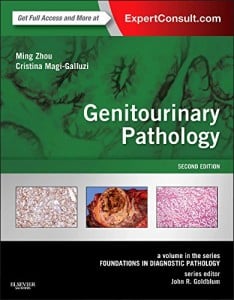 Genitourinary Pathology: A Volume in the Series: Foundations in Diagnostic Pathology, 2nd Edition (ORIGINAL PDF from Publisher)