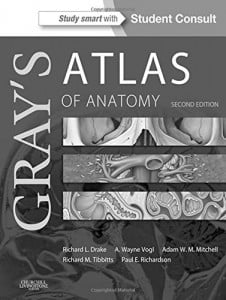 Gray’s Atlas of Anatomy, 2e (ORIGINAL PDF from Publisher)