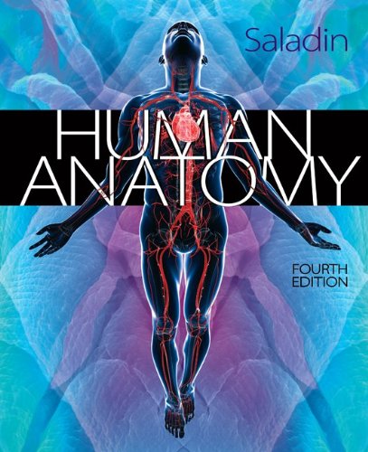 Human Anatomy, 4th Edition (Saladin)