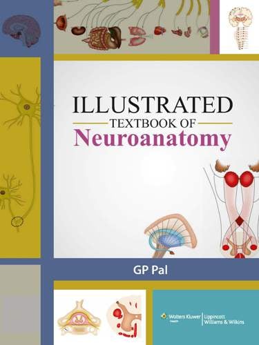Illustrated Textbook of Neuroanatomy (LWW India)