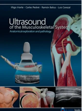 Ultrasound of the Musculoskeletal System: Anatomical exploration and pathology