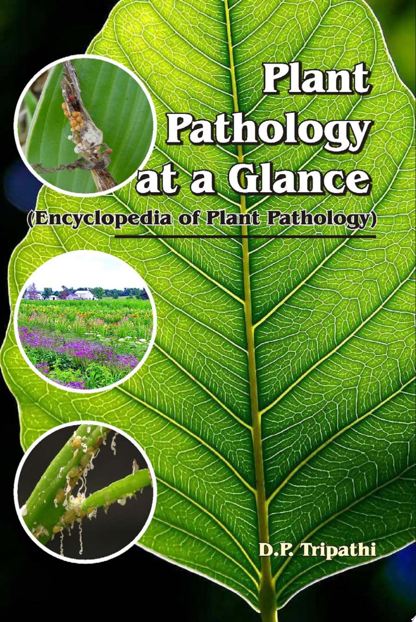 Plant Pathology at a Glance