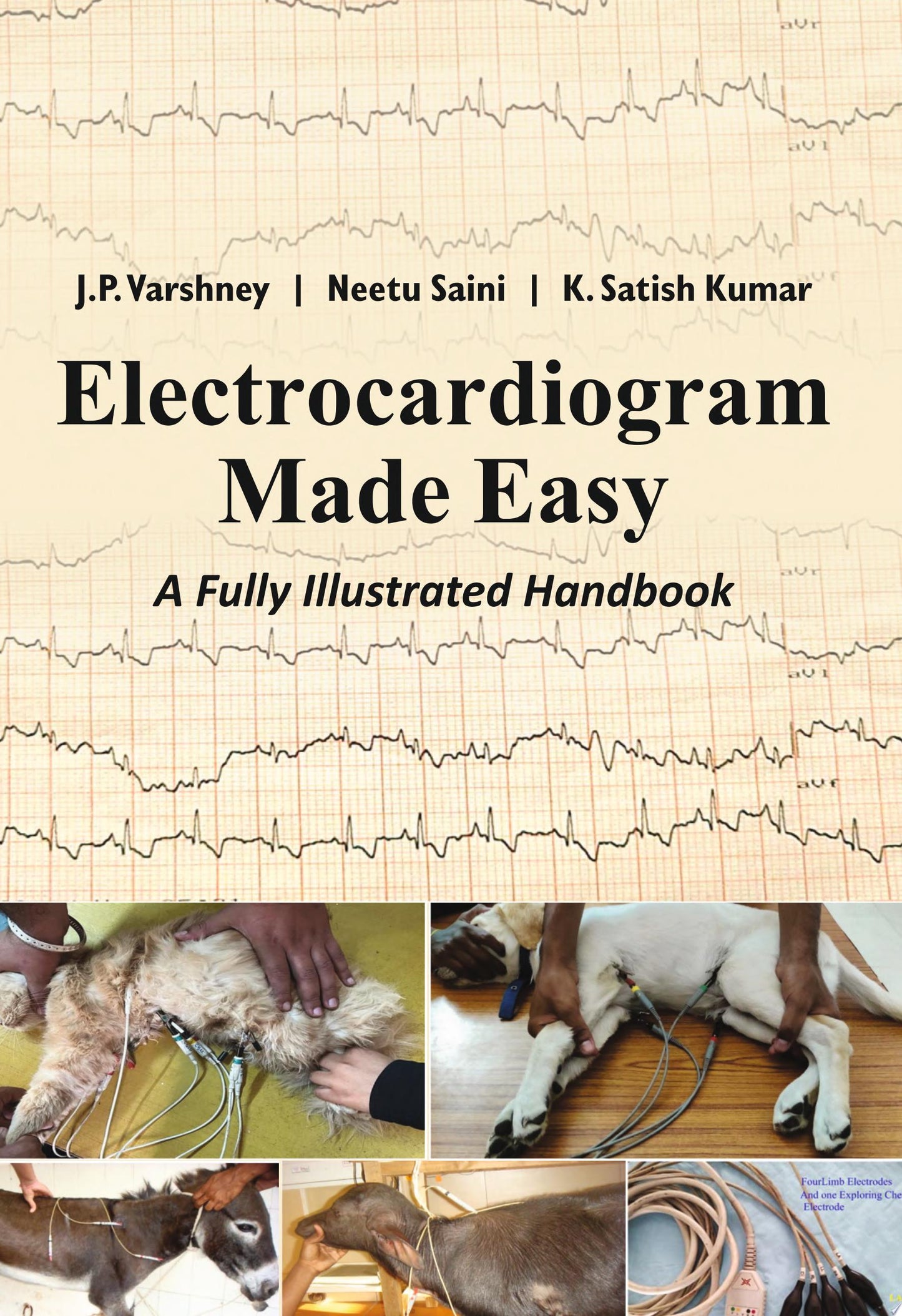 Electrocardiogram Made Easy: A Fully Illustrated Handbook