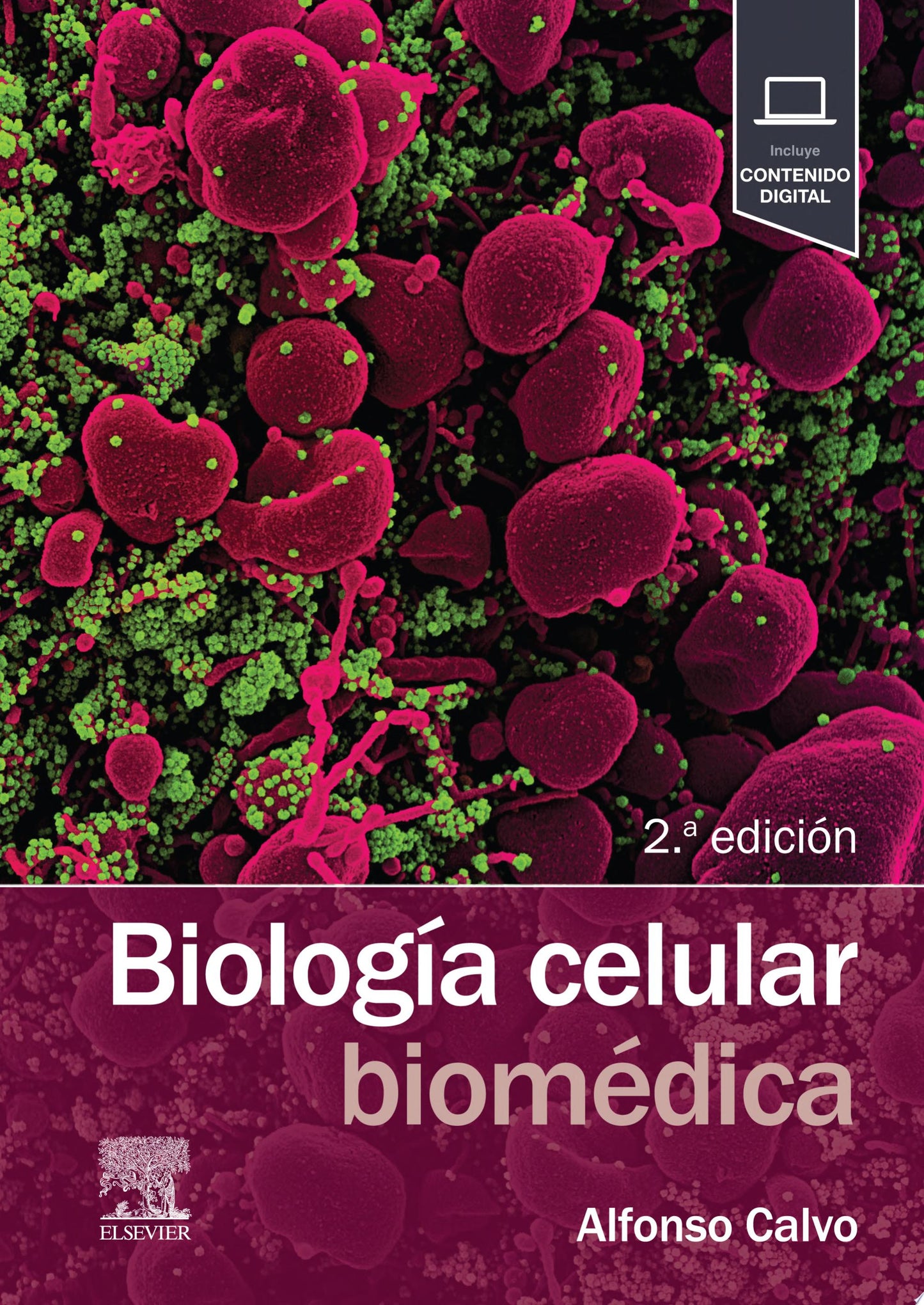 Biología celular biomédica, 2nd Edition