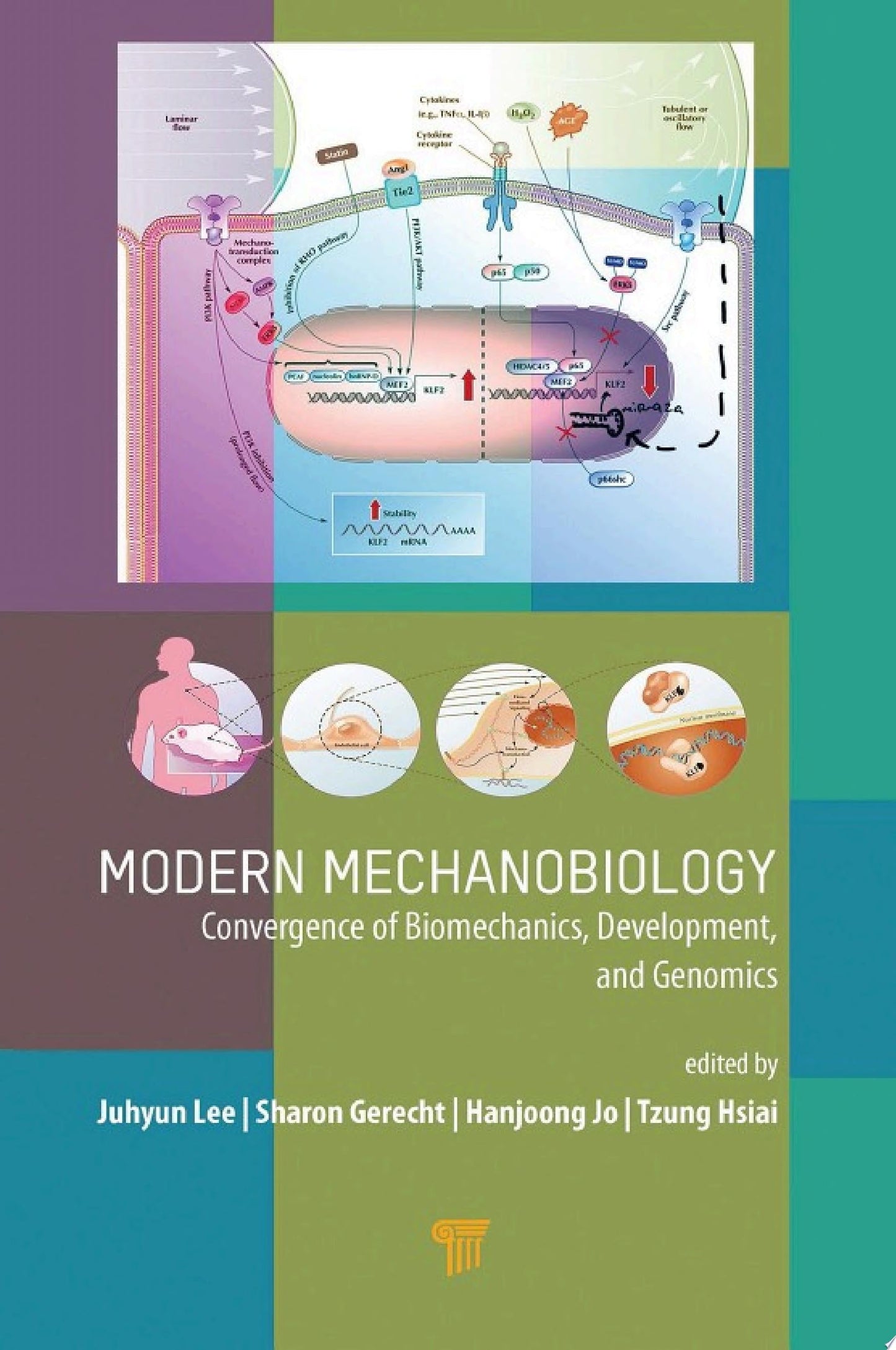 Modern Mechanobiology: Convergence of Biomechanics, Development, and Genomics