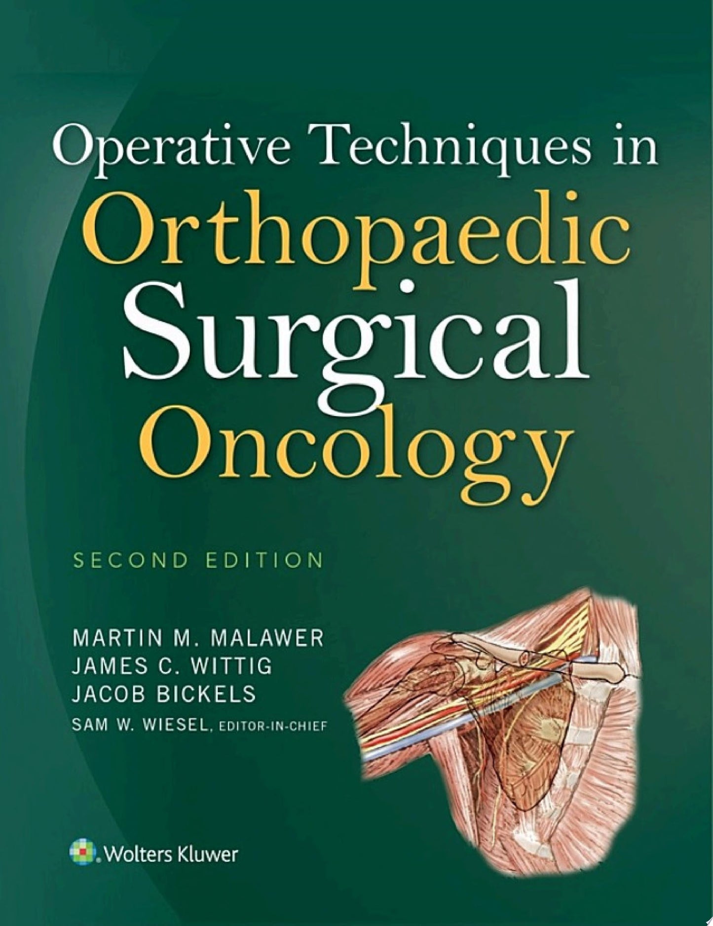 Operative Techniques in Orthopaedic Surgical Oncology (ORIGINAL PDF from Publisher)