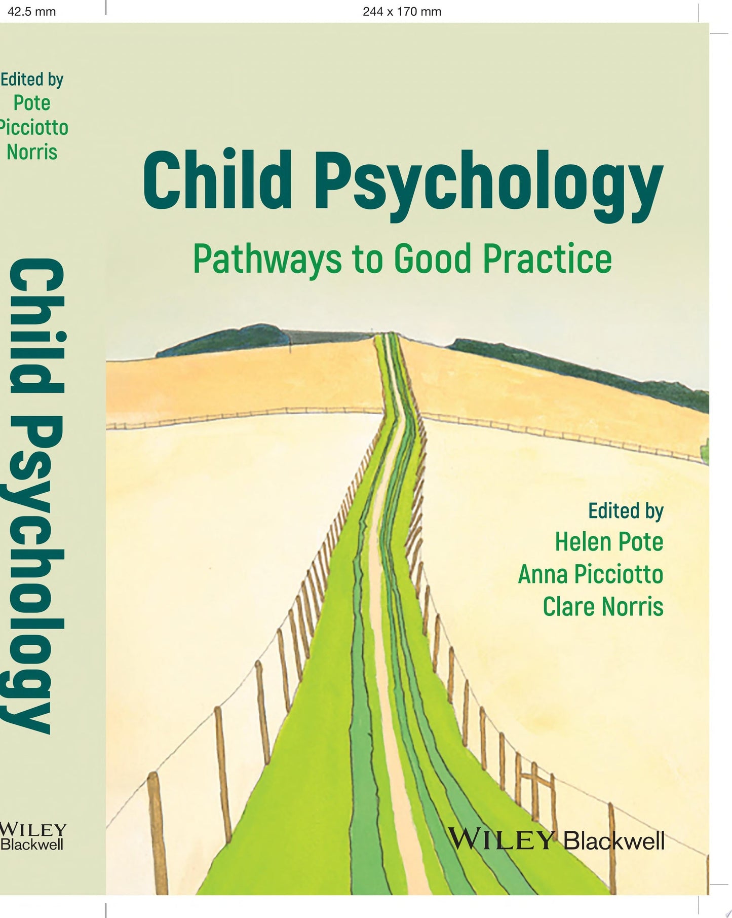Child Psychology : Pathways to Good Practice 1st Edition