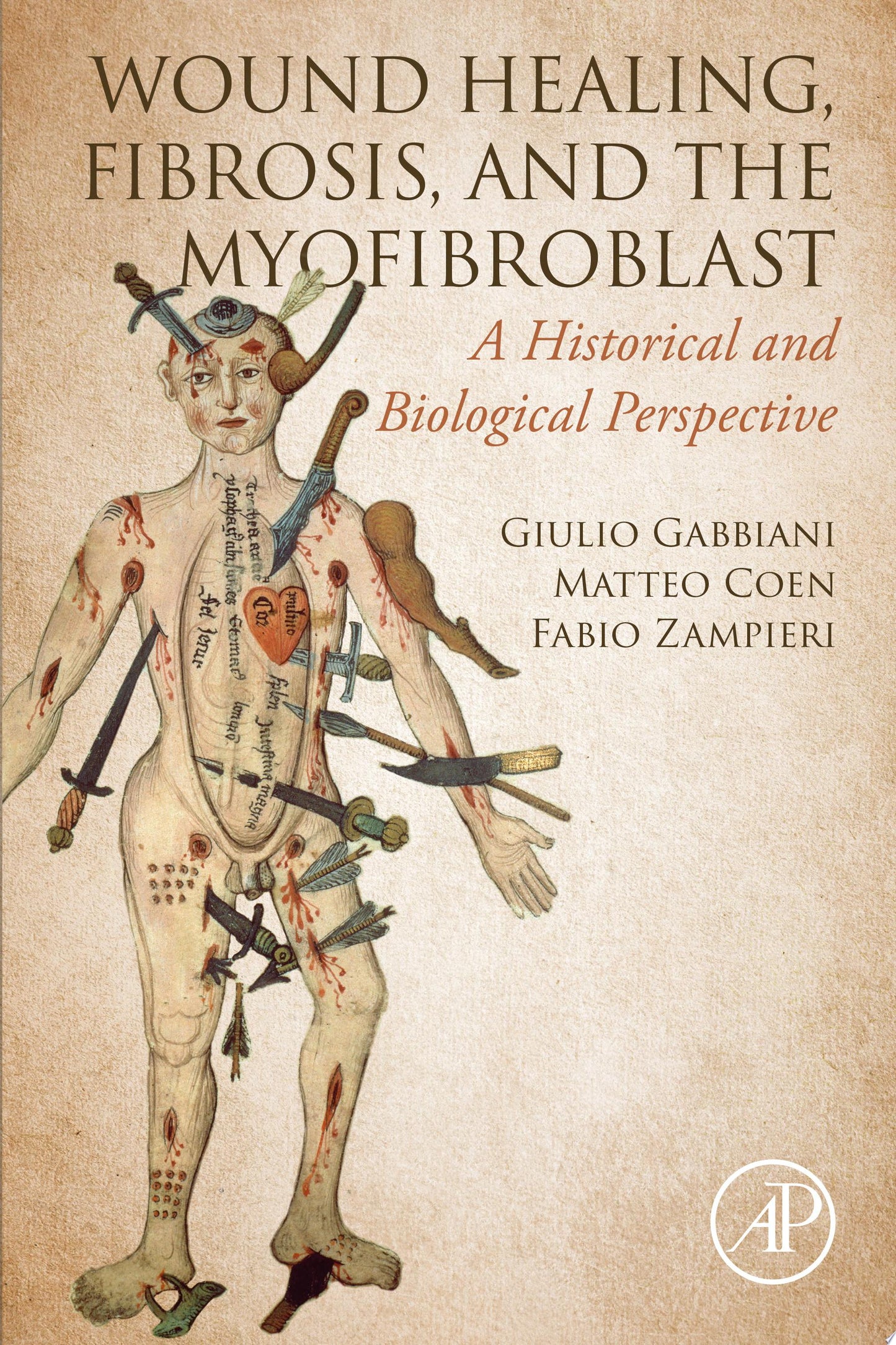 WOUND HEALING, FIBROSIS, AND THE MYOFIBROBLAST: A Historical and Biological Perspective