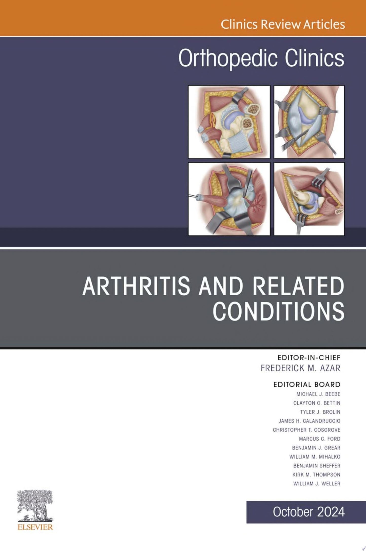 Arthritis and Related Conditions, An Issue of Orthopedic Clinics (Volume 50-4) (The Clinics: Orthopedics, Volume 50-4)