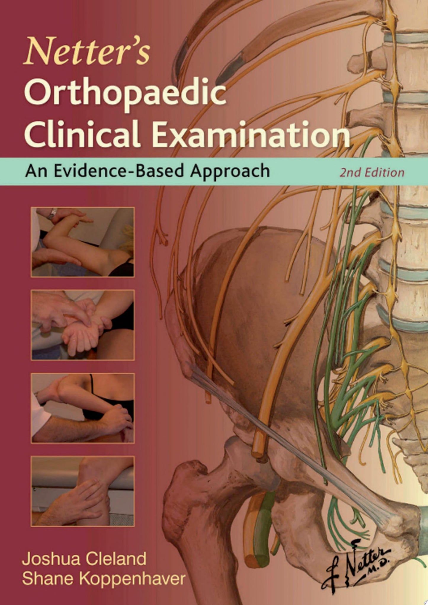 Netter’s Orthopaedic Clinical Examination: An Evidence-Based Approach, 2nd Edition (ORIGINAL PDF from Publisher)