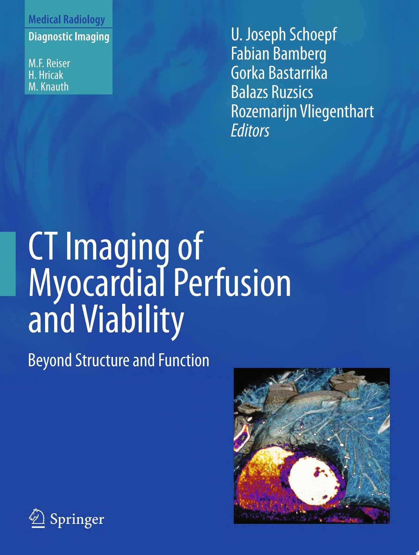 CT Imaging of Myocardial Perfusion and Viability: Beyond Structure and Function