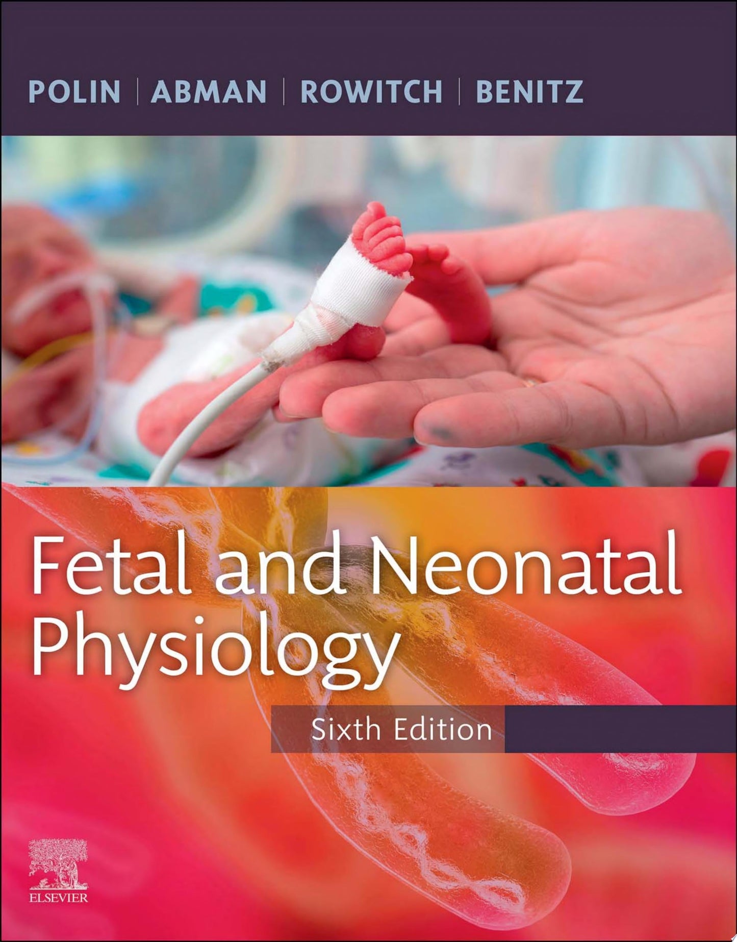 Fetal and Neonatal Physiology, 2-Volume Set, 5th Edition