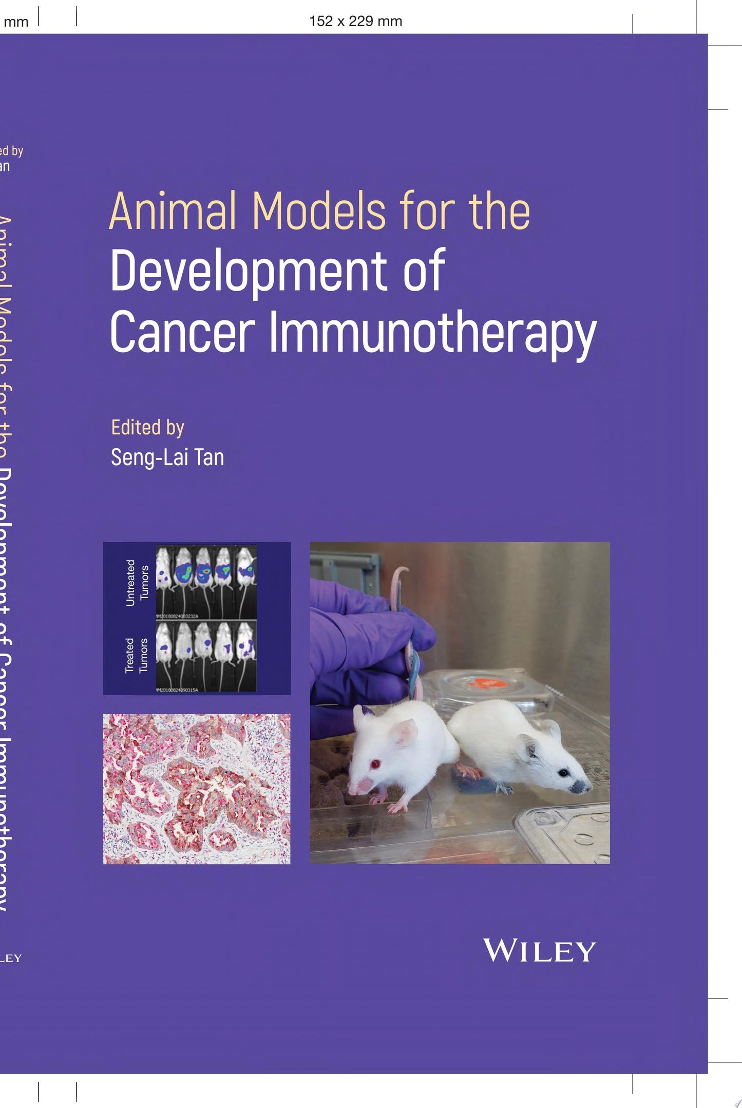 Animal Models for Development of Cancer Immunotherapy