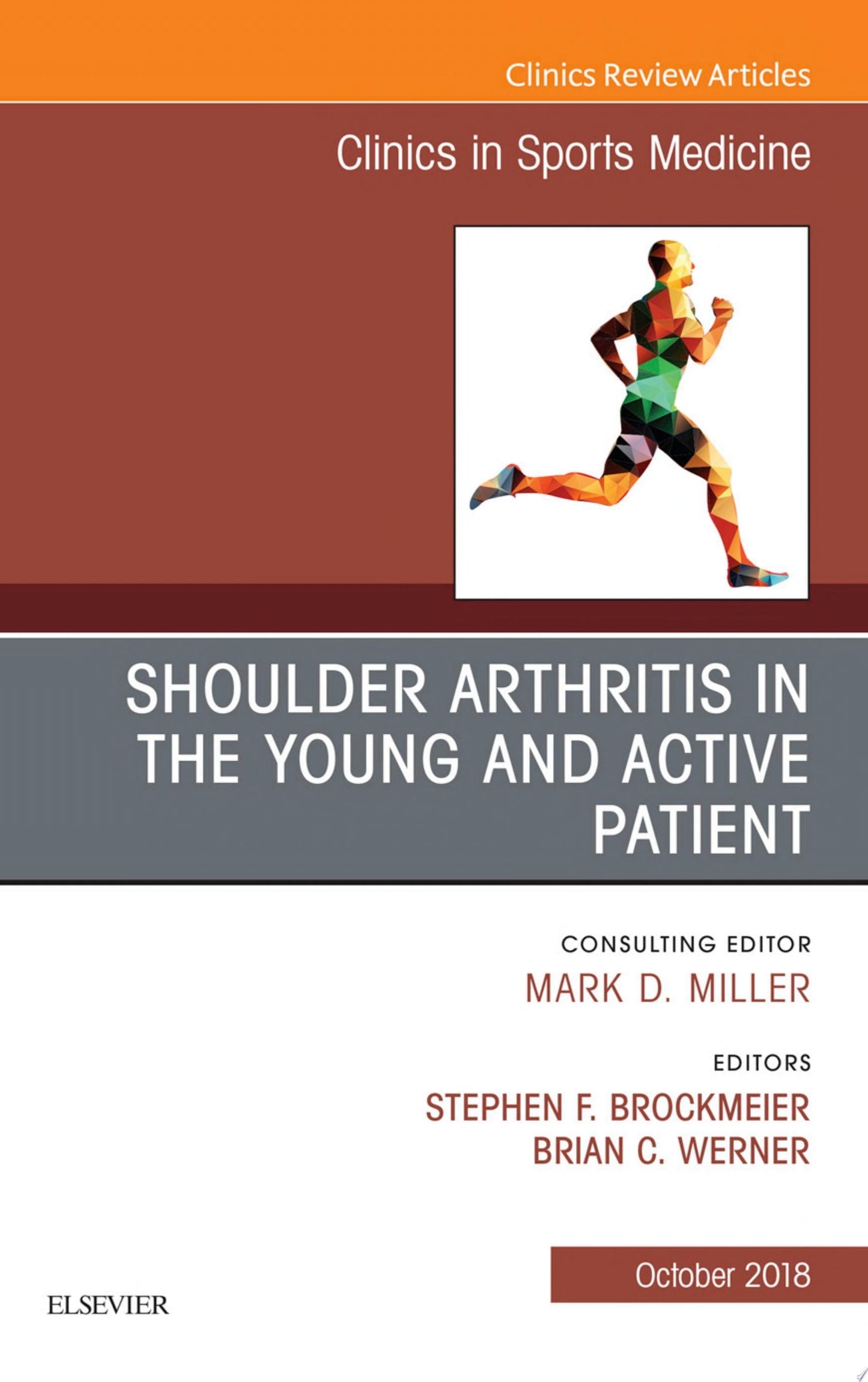 Shoulder Arthritis in the Young and Active Patient, An Issue of Clinics in Sports Medicine (Volume 37-4) (The Clinics: Orthopedics, Volume 37-4)