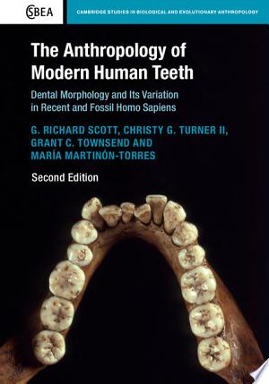 The Anthropology of Modern Human Teeth