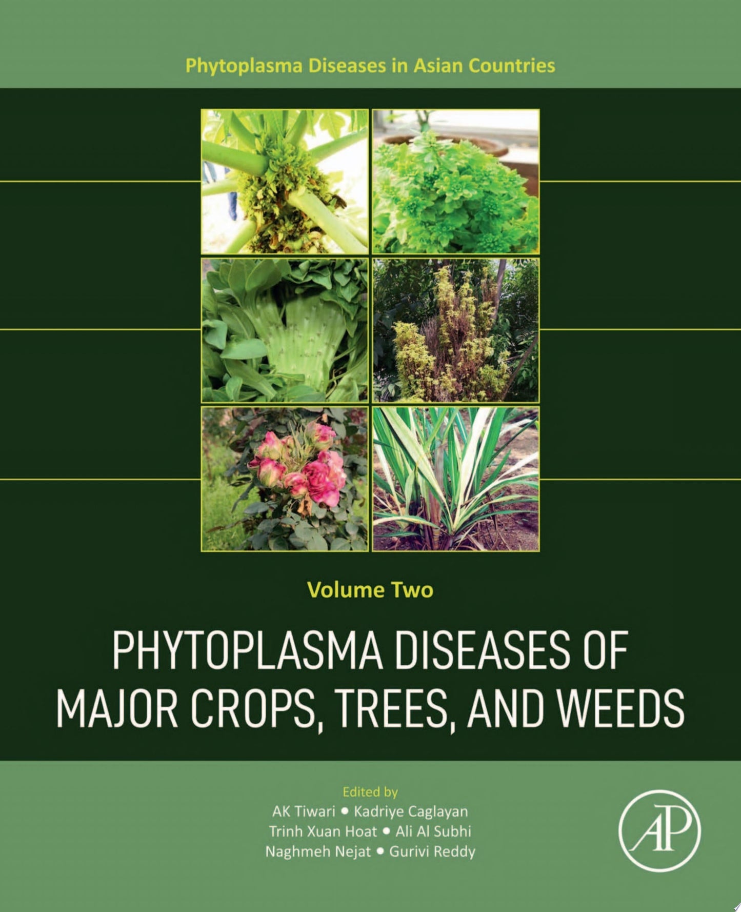 Phytoplasma Diseases of Major Crops, Trees, and Weeds