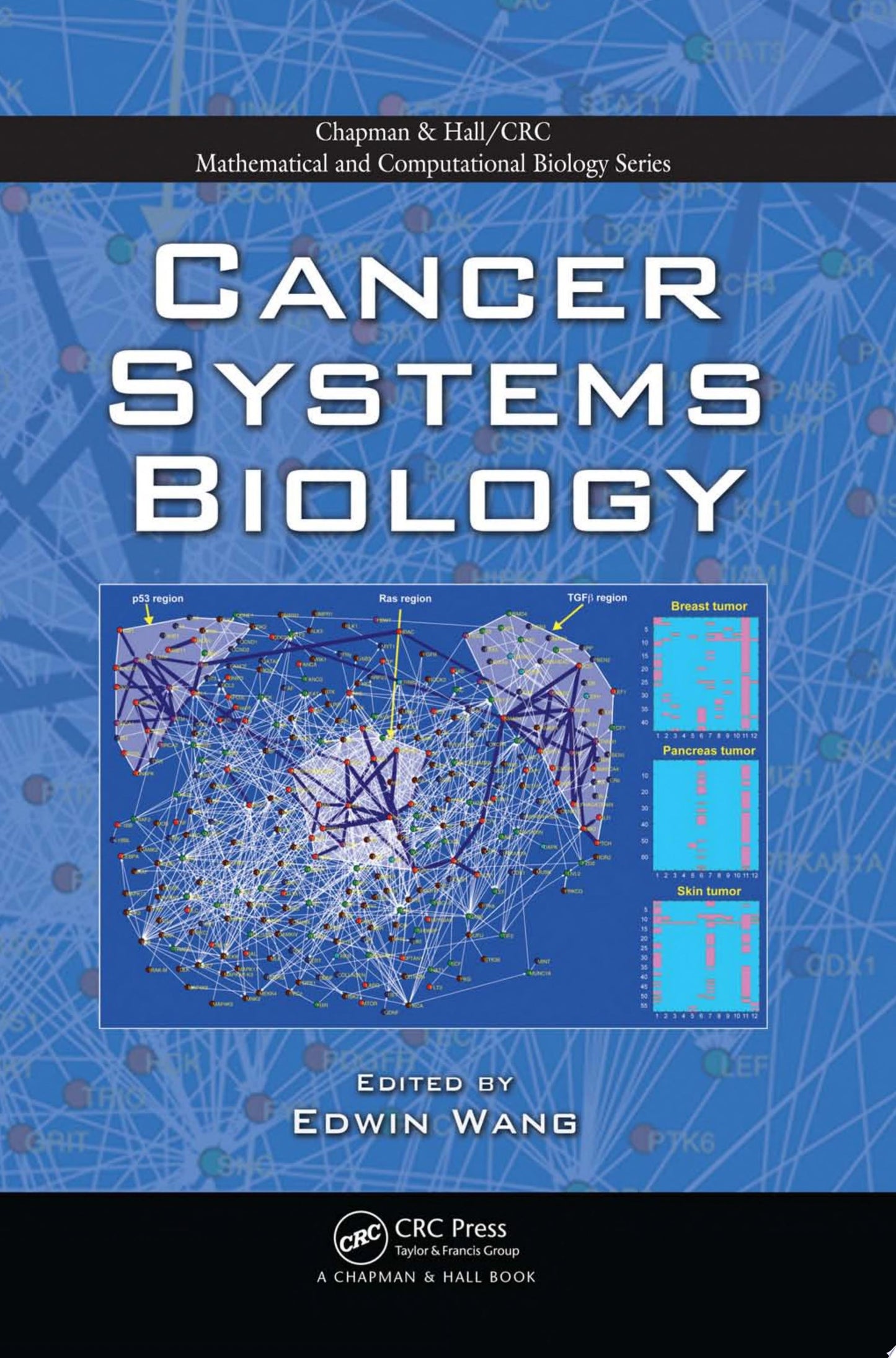 Cancer Systems Biology