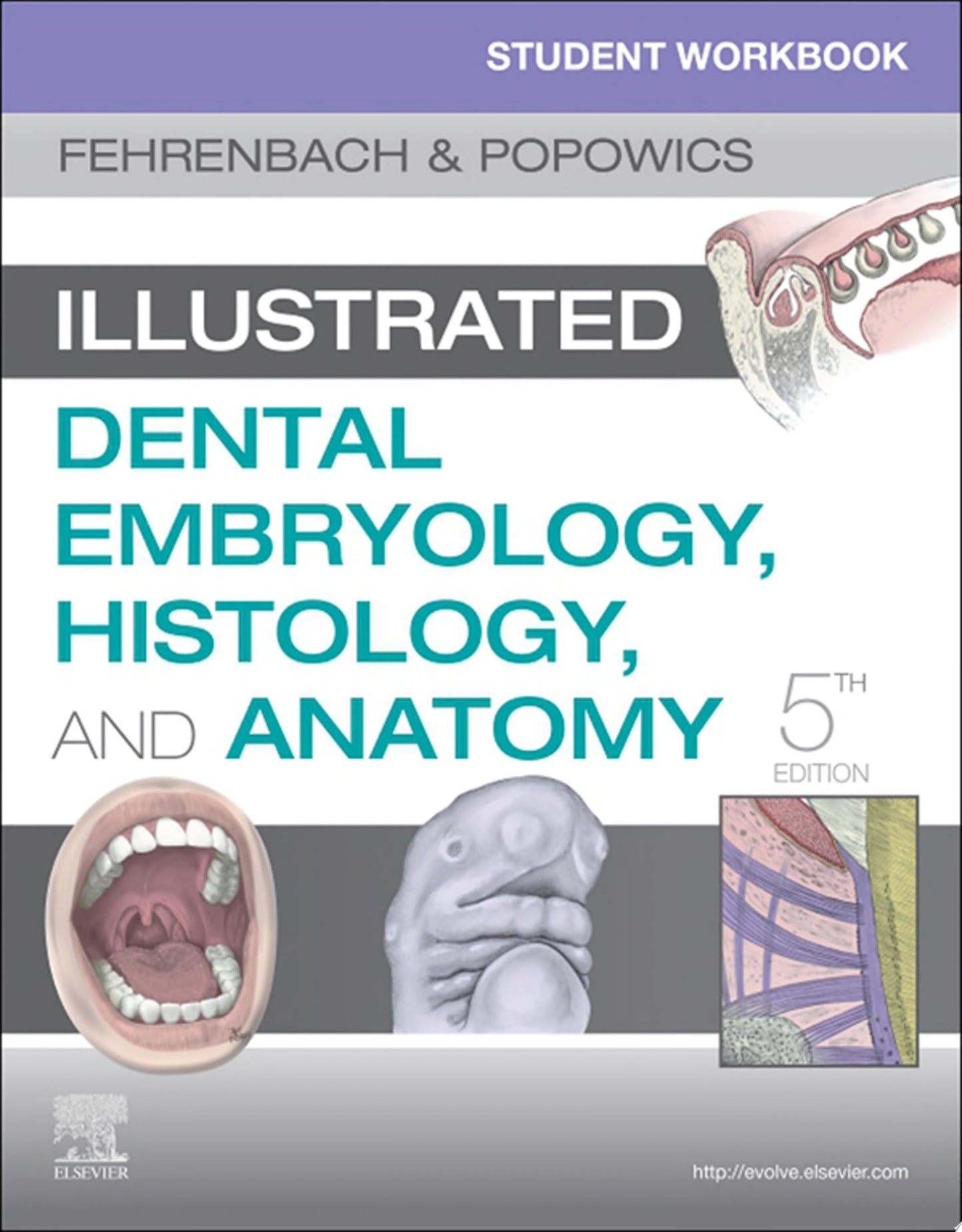 Student Workbook for Illustrated Dental Embryology, Histology and Anatomy E-Book
