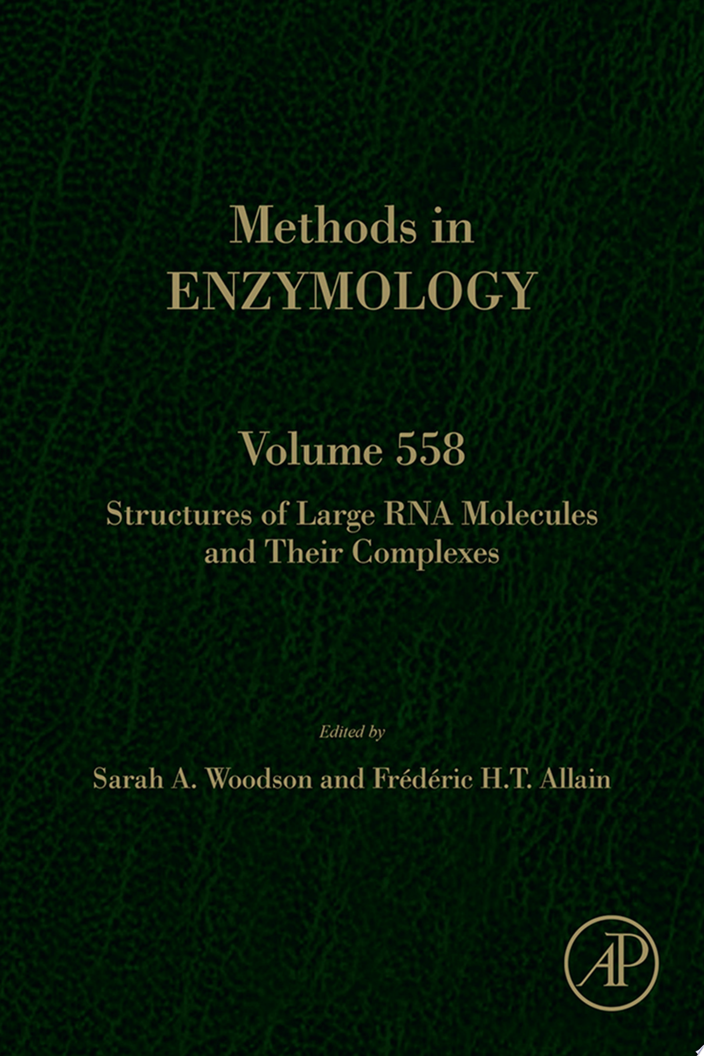 Structures of Large RNA Molecules and Their Complexes