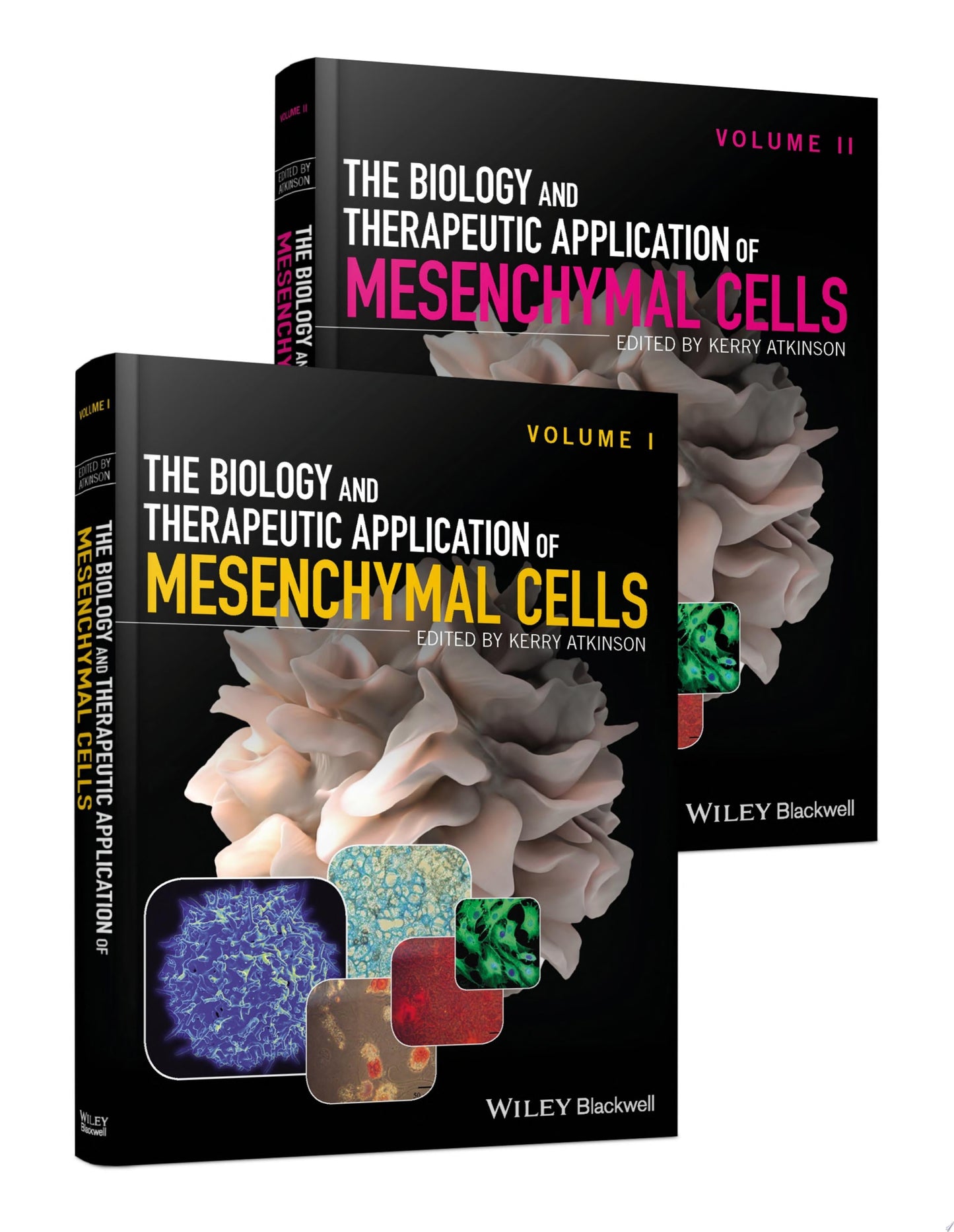 The Biology and Therapeutic Application of Mesenchymal Cells – Set