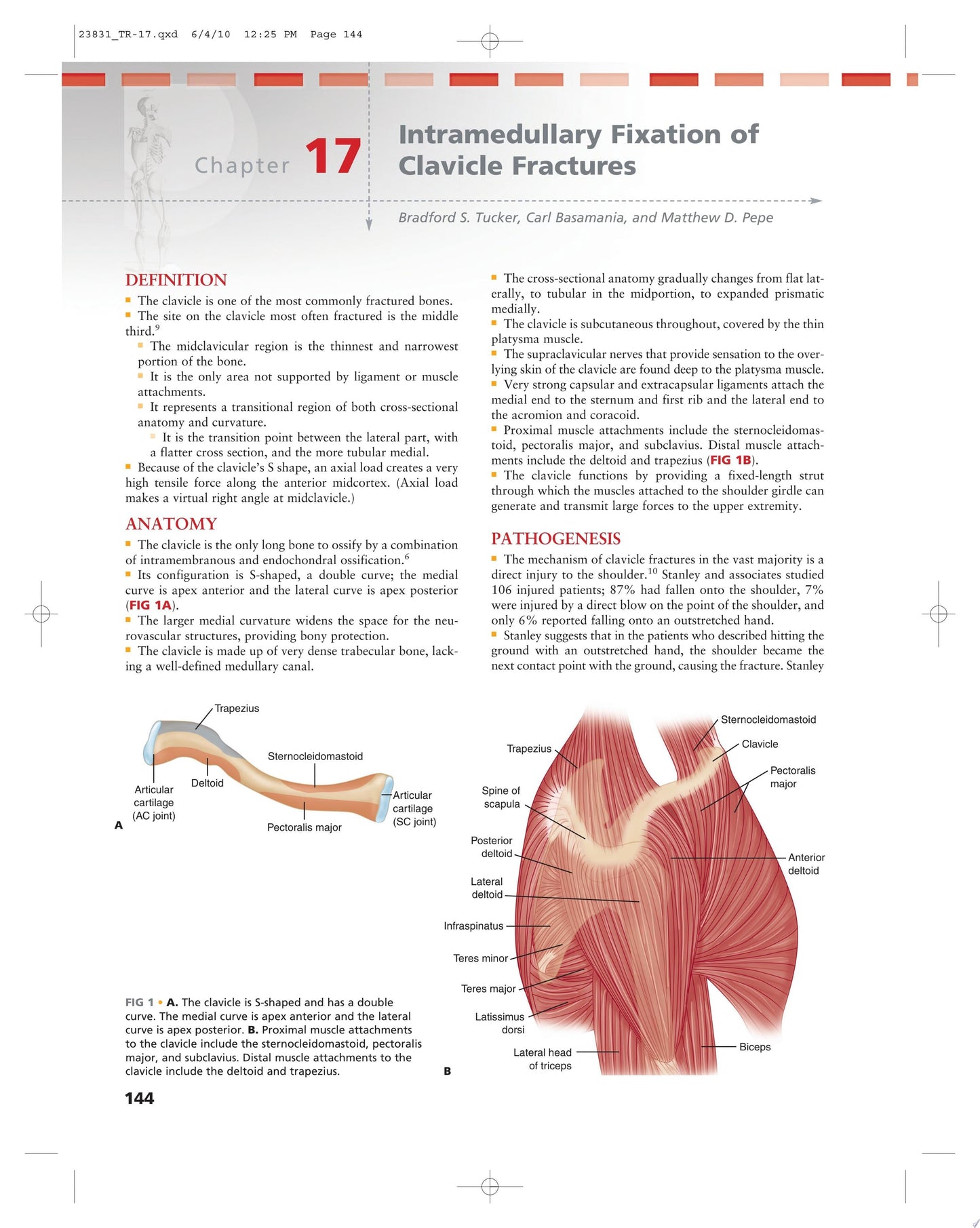 Operative Techniques in Orthopaedic Trauma Surgery (ORIGINAL PDF from Publisher)