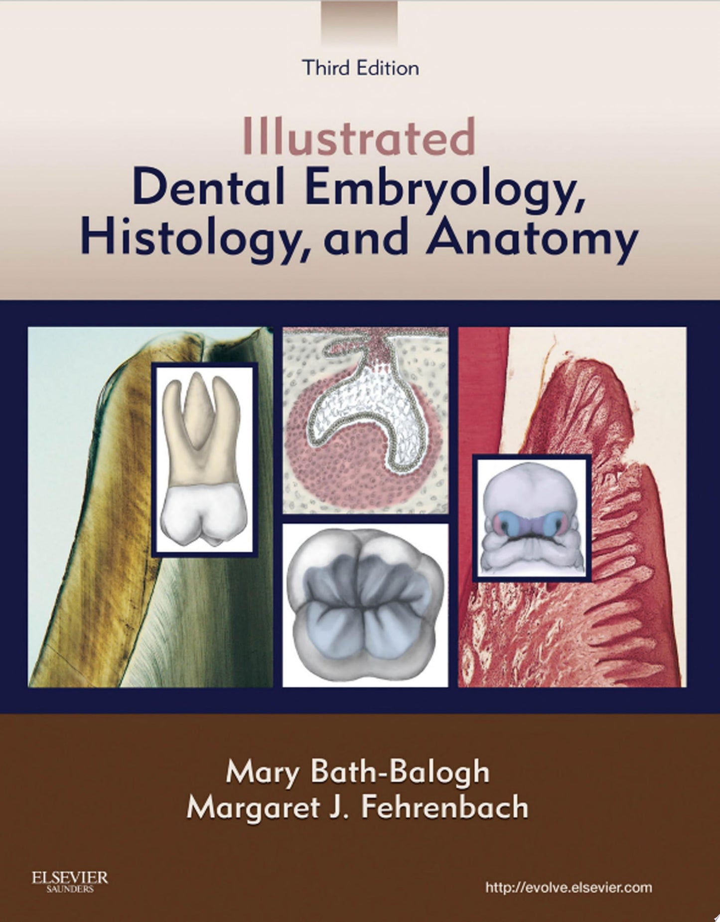 Illustrated Dental Embryology, Histology, and Anatomy - E-Book