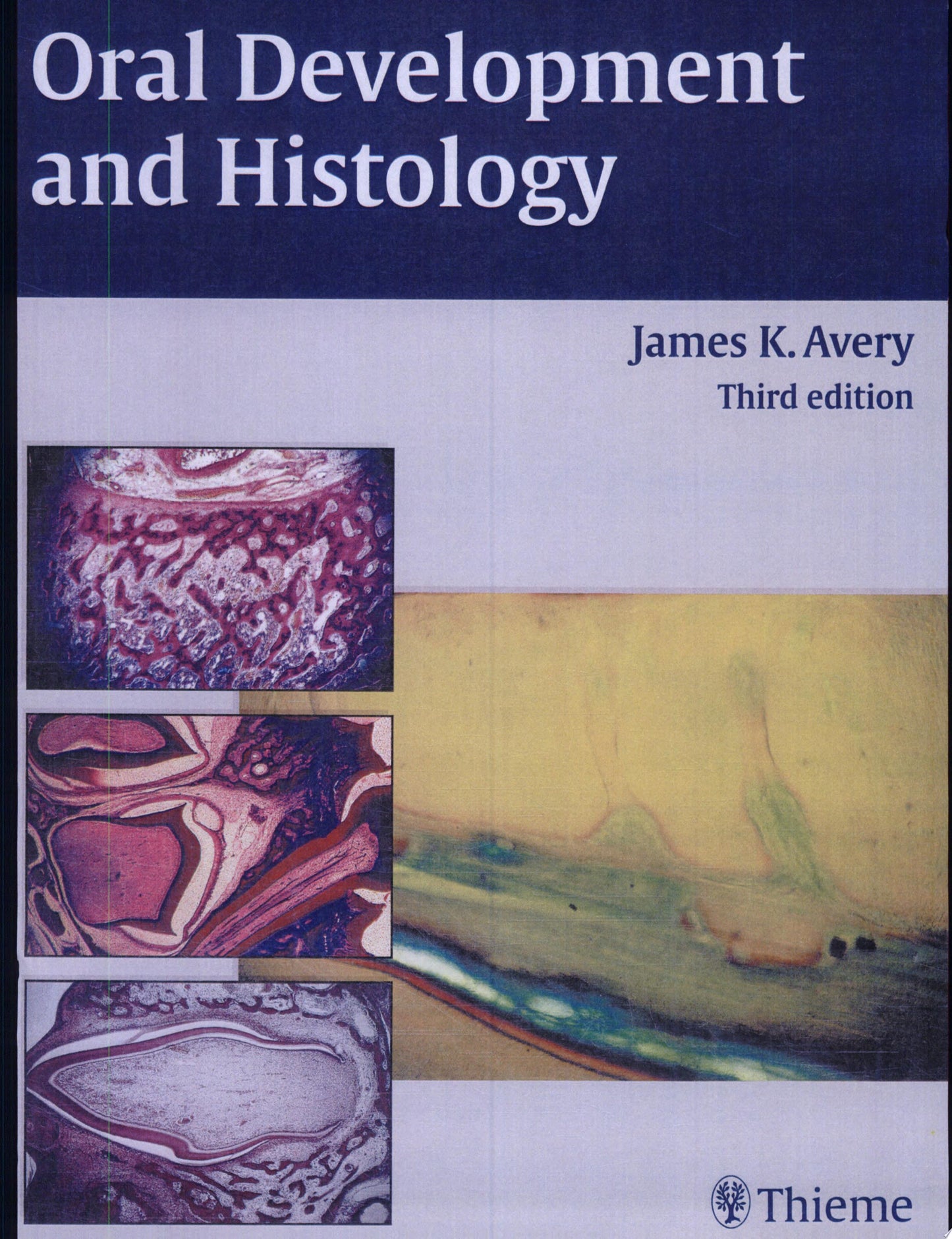 Oral Development and Histology