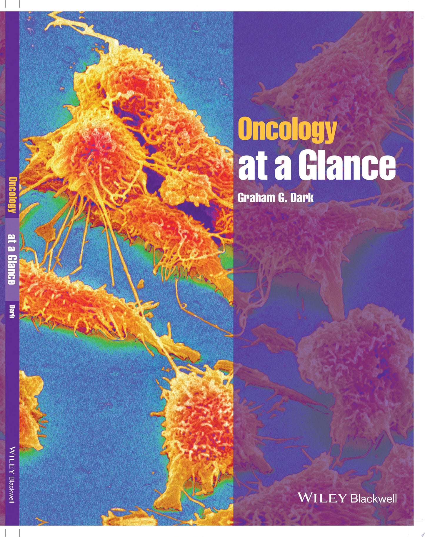 Oncology At A Glance, 2nd Edition